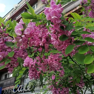 Pulawska 53 Warszawa